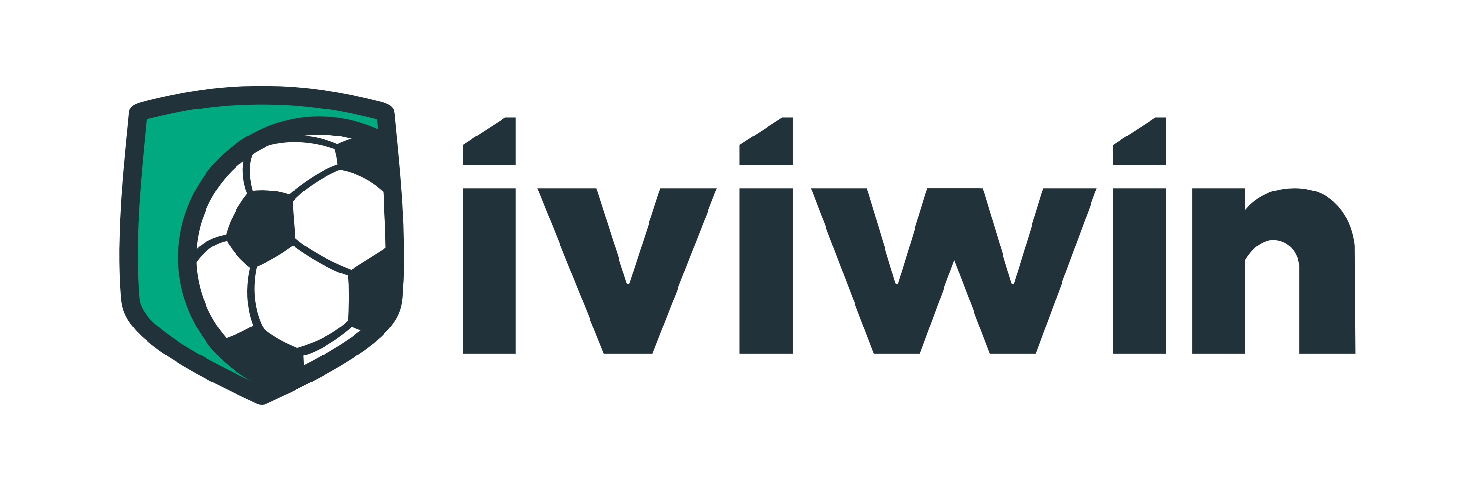 iviwin logo